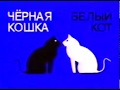 Teaser