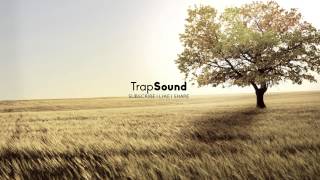 A$AP Ferg - Cocaine Castle (Gems Geneva Remix)