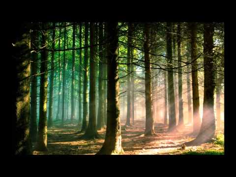 Was gleicht wohl auf Erden - Carl Maria von Weber - Freischütz - Hunter's Chorus