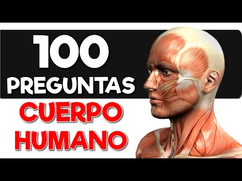 100 Preguntas de ANATOMÍA HUMANA 💪❤️🦴 100 Preguntas del "CUERPO HUMANO"