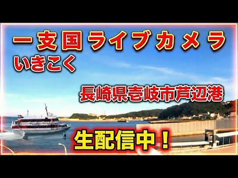 壱岐市 芦辺港のライブカメラ映像