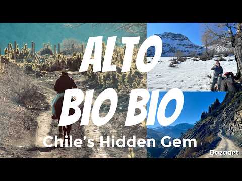 Alto Bio Bío Chile Travel Vlog | Hidden Gem Off the Beaten Path