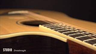 Video thumbnail for Breedlove Acoustic Guitars: Studio Dreadnought Guitar by Breedlove Guitars