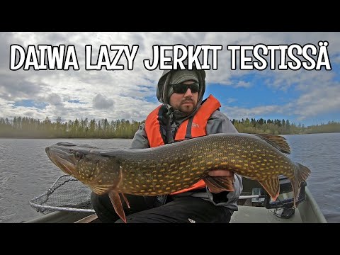 HAUENKALASTUSTA KEVYELLÄ VIRVELISETILLÄ - DAIWA LAZY JERKIT TESTISSÄ