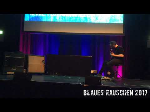 BLAUES RAUSCHEN 2017 - Hellmuth Neidhardt aka "N"