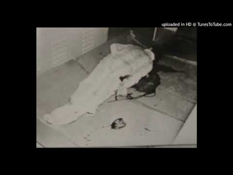 Lord Tagman X Bulldog Fantazma - MODELO MALVADÃO (2020) (SICK)