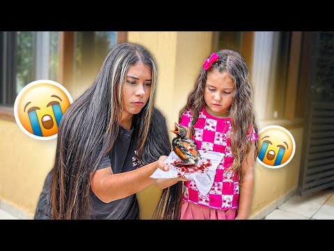 WE FOUND A LITTLE BIRD ALL HURT! *we helped him