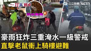 一刀未剪｜16縣市豪大雨特報！ 雙北豪雨狂炸「三重淹水一級警戒」連老鼠都衝上騎樓避難？！ 明起「連11天降雨」紫爆地區出爐｜三立新聞LIVE
