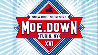 Bring It Back Home... to moe.down XVI!