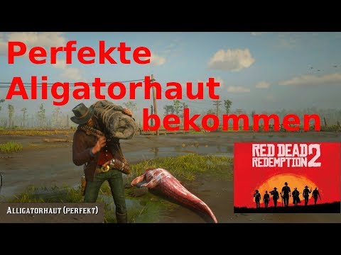 Perfekte Aligatorhaut jagen Red Dead Redemption 2
