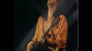 Johnny Hallyday " La Guitare Fait Mal " By Skutnik Michel