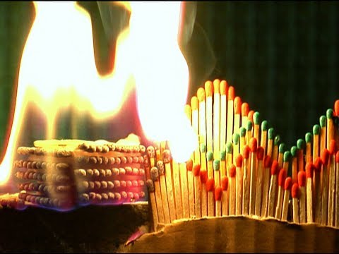 THE BACK HORN｢美しい名前＜マッチ編＞｣MUSIC VIDEO