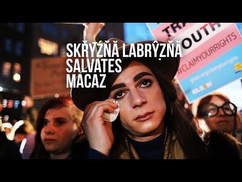 Skřȳźňǎ Labrŷẓňă Salvates Macaz