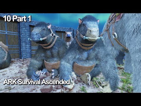 The Baby Making Process| ARK Survival Ascended