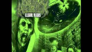 Intestinal Alien Reflux - Dissect To Infect