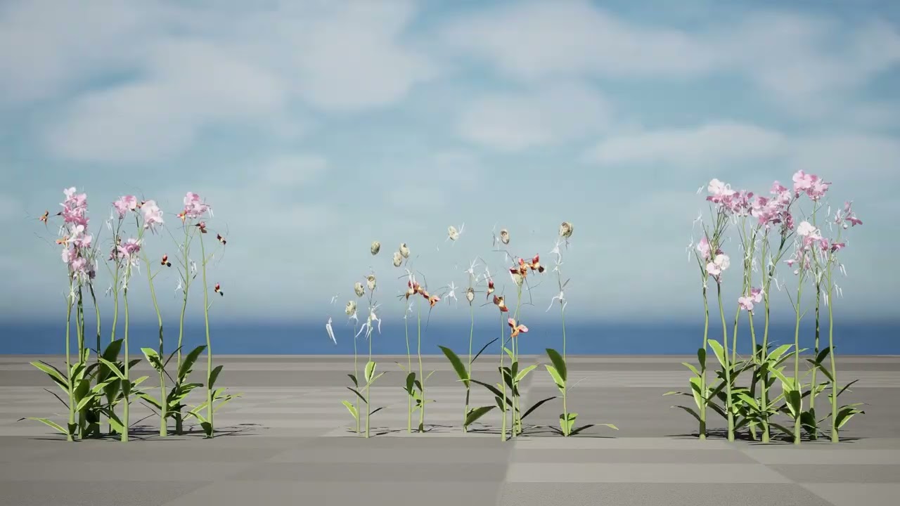 Orchidea fantasma Modello 3D