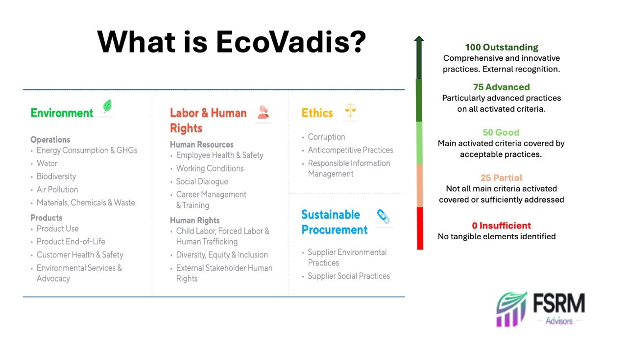 What is EcoVadis?