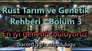 Rust Tarım ve Genetik Rehberi - Bölüm 3 | En iyi genetiği buluyoruz!