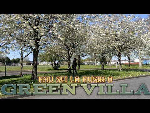 HAU SEI LA HUSIK O - GREEN VILLA(COVER)||Nizio EduardoI|lfourido