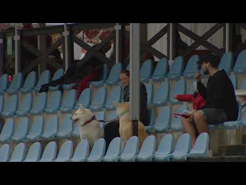 MO, 30. 8. 2020, 5. dostih - 23. Velká letní cena Ústeckého kraje