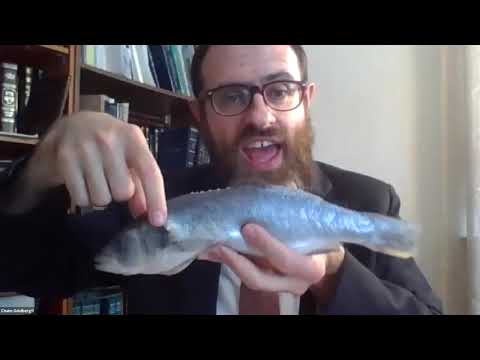 ASK OU/YU Seminar - 05. Nothing Fishy About This