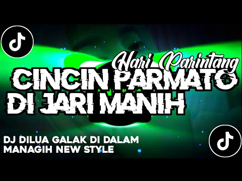DJ MINANG TERBARU || CINCIN PARMATO DI JARI MANIH || DILUA GALAK DI DALAM MANAGIH || VIRAL 🔥