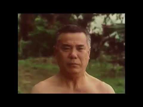 Karate. The way of the empty hand. Morio Higaonna. Goju Ryu