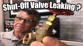 Leaky Shut Off Valve Repair