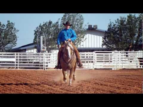 Clinton Anderson and the Method fix problem horses!