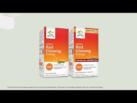 RENECELL Wash Powder 80g 3本 RENECELL Wash Powder 80g 3本