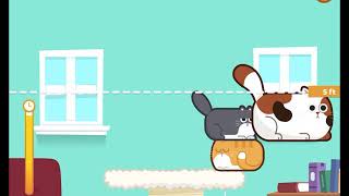 Cat stacker