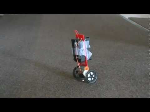 Tigris Li - BalanceBot