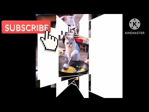 #zaikafoodkhanfamily #2025