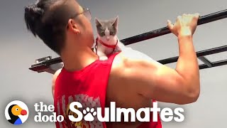Tiny Stray Kitten Follows Guy Home And Never Leaves | The Dodo Soulmates