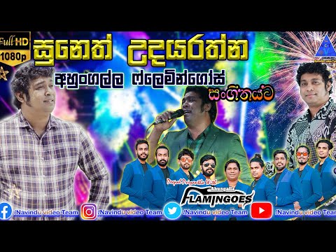 සුනෙත් උදයරත්න | Suneth Udayarathna | (පොඩි ජෝති) |  අහුංගල්ල Flamingoes සංගීතයට | NvT