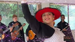 Video de M&S Músicos y Serenatas