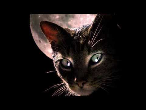 1959 Fausto Cigliano - Mezzanotte malinconica