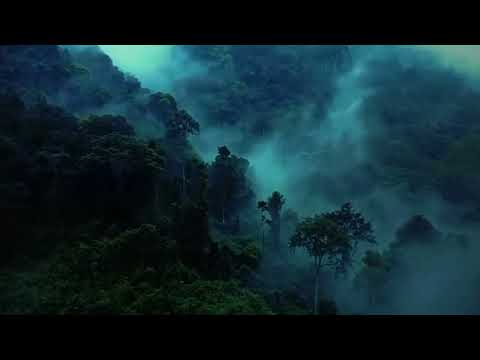 Nature is beautiful 😍✨ | nature clips edit | #aesthetic #nature #beautiful #subscribe #relieving #yt