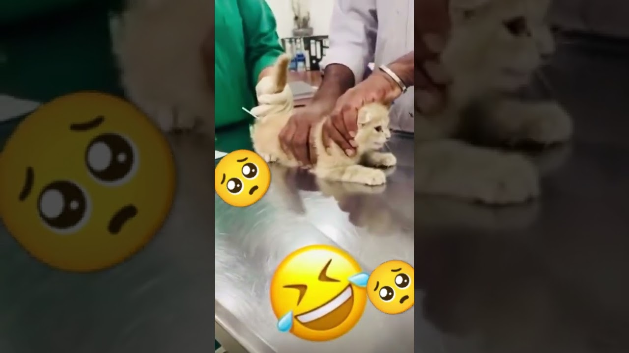 Temperature check 🌡️🌡️🌡️🌡️