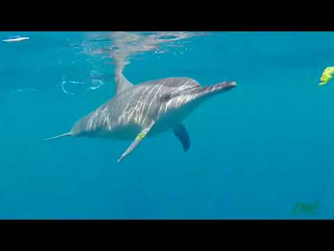 Melih Aydogan ft Valery Lua - Make Me Yours ( Video Edit)