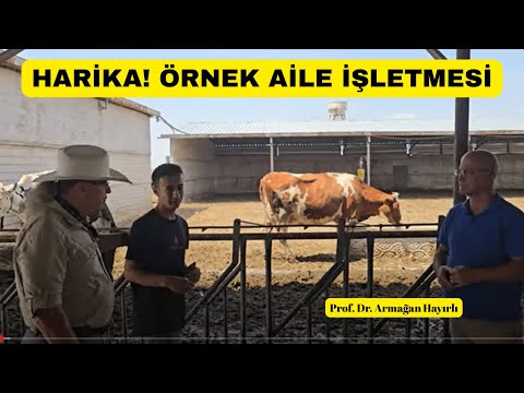 HARİKA Örnek! Küçük Aile İşletmesi