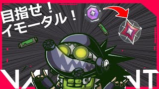 バーチャルはりねずみになりました