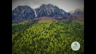 Orașul Bușteni crește — Parcul Natural Bucegi scade