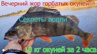Где ловить окуня летом на джиг