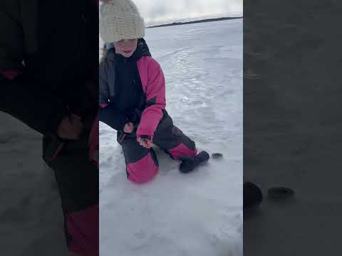 Ten Year Old pulls up a Monster Pike!! ? #icefishing #shorts