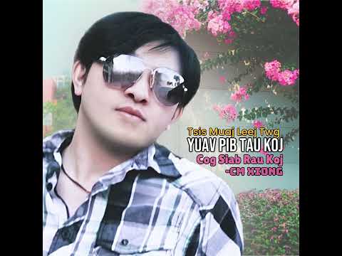 Cog Siab Rau Koj instrumental-CM Xiong (rendition version) 