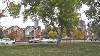A Million Trees and A Million Solar Roofs: Can We Have Both?