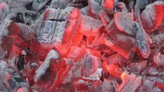 Bitter Ashes- NOX ARCANA -BLOOD OF ANGEL