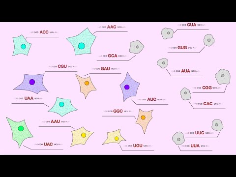 Introduction to Deep Mutational Scanning (Animation)