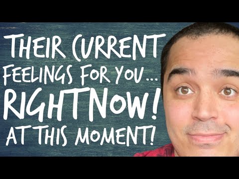 All Signs! Their Current Feelings For You….. Right Now… At This Moment!